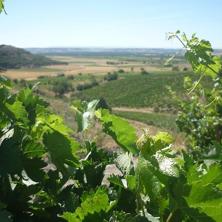 La Cantamora Hotel Rural Pesquera De Duero Zewnętrze zdjęcie