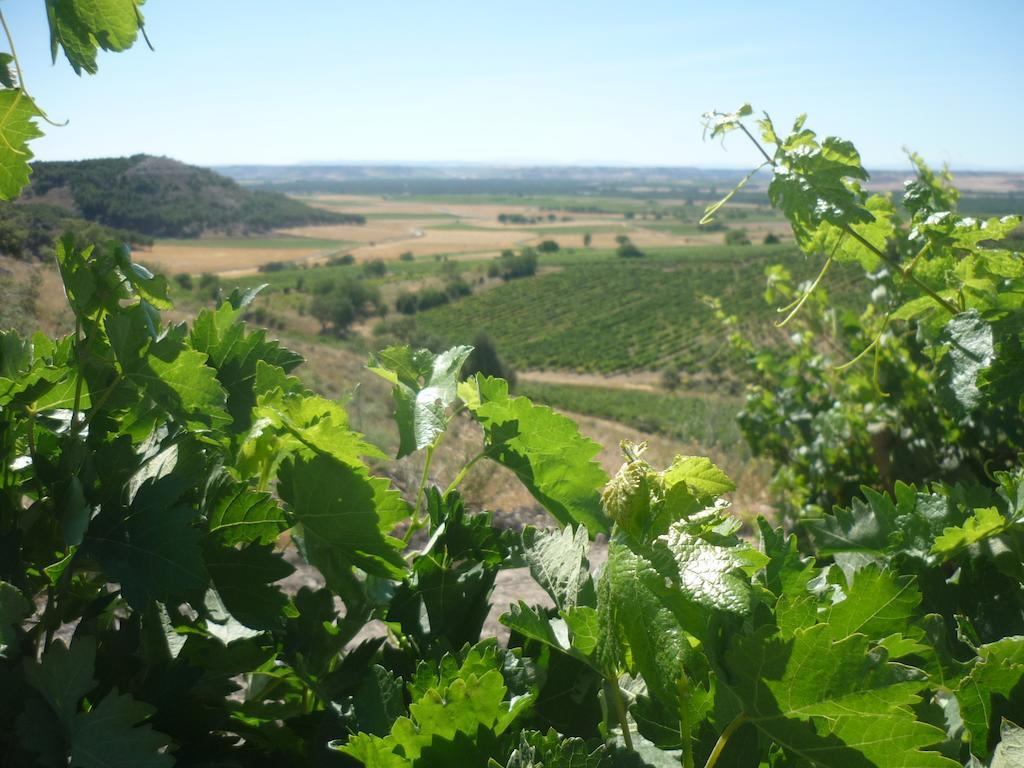 La Cantamora Hotel Rural Pesquera De Duero Zewnętrze zdjęcie